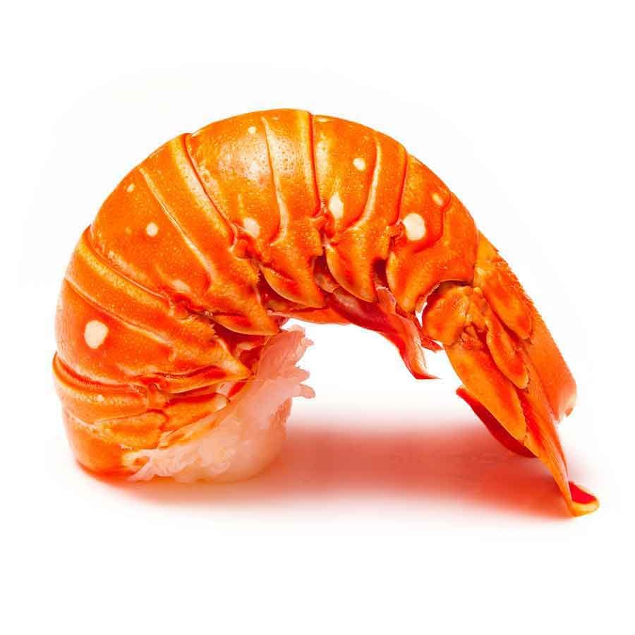 Langusten Schwanz - Rock Lobster Tail, Wildfang Karibik, vorgegart