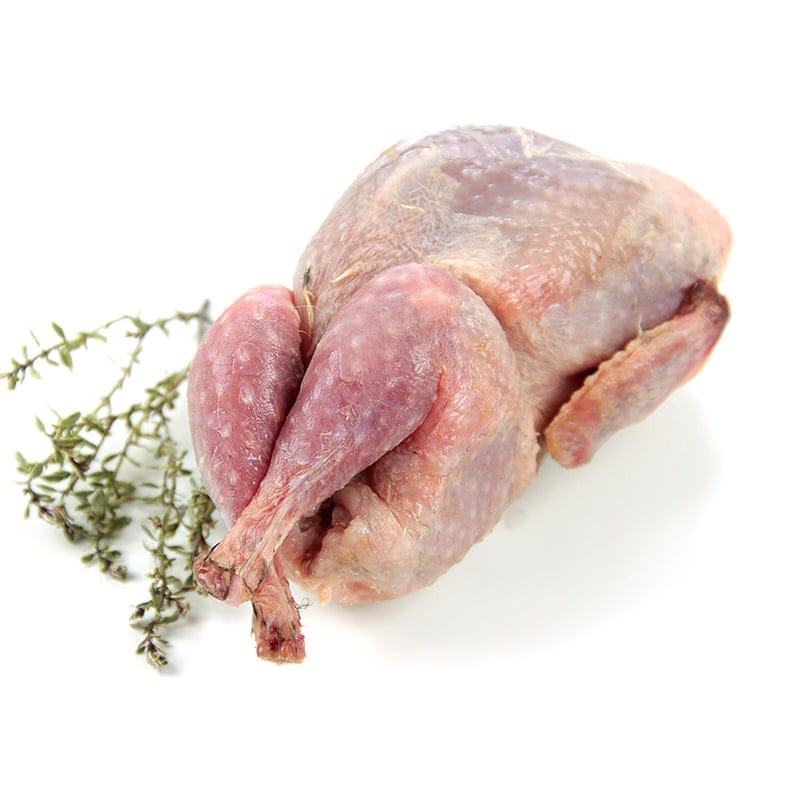 Wachteln, bratfertig ungewürzt, roh (4 x 150–170 g = ca. 600–700 g) 