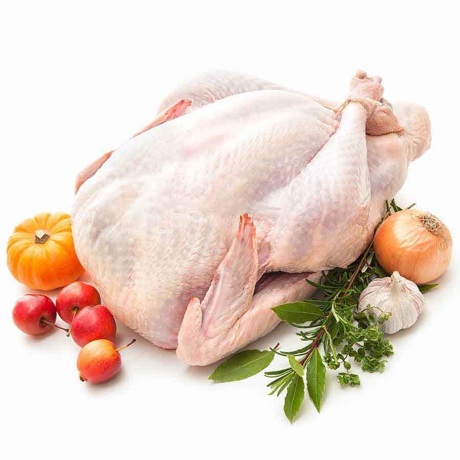 Truthahn / Thanksgiving Turkey / Putenbraten 3200-8000g 2