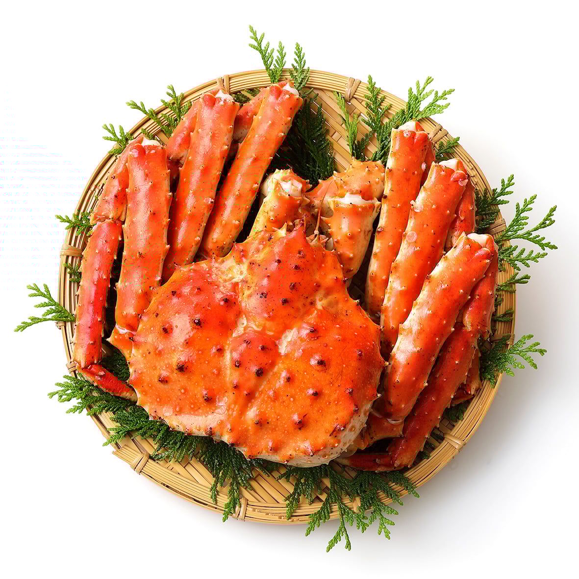 Königskrabbe King Crab XL , ganze Krabbe, WILDFANG