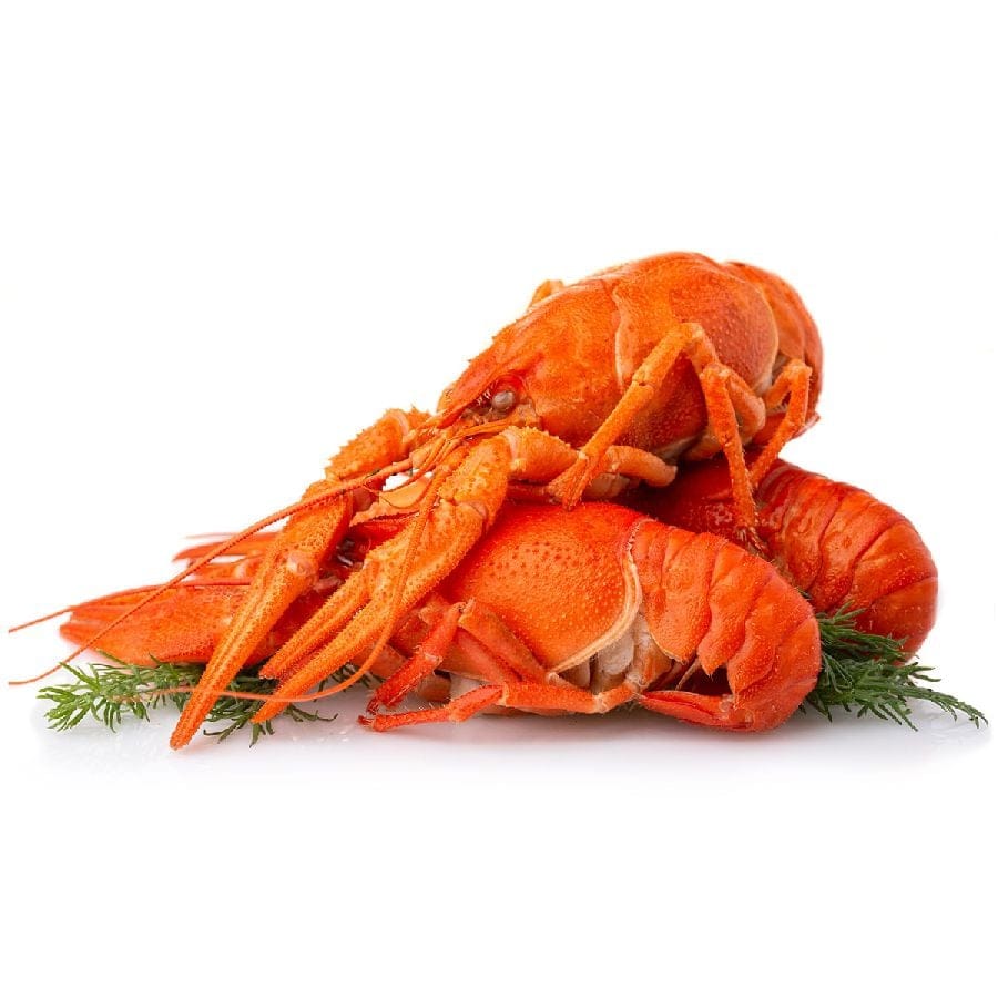 Louisiana Flusskrebse in Weisswein-Sud mit Kopf und Schale, gekocht 500g