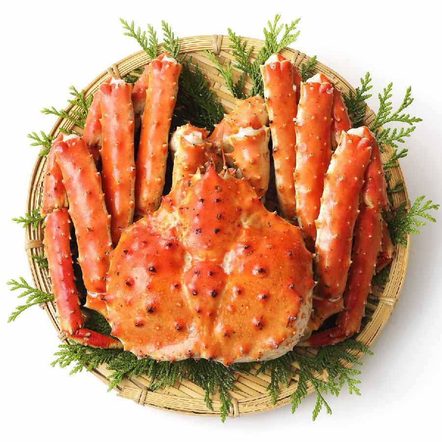 Königskrabbe King Crab XL , ganze Krabbe, WILDFANG