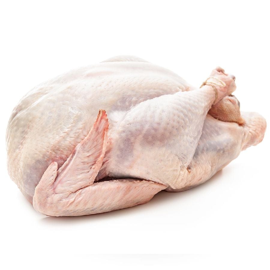 Weiße Polnische Hafergans - Die traditionelle Weihnachtsgans