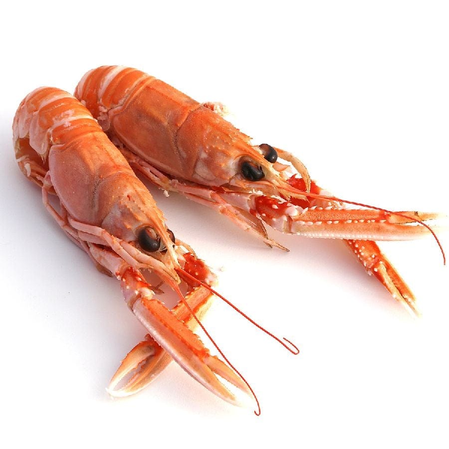 Langostinos, Kaisergranat, Kaiserhummer, Echte Scampi, WILDFANG, Giant XL 8-12 St., 1 kg 1