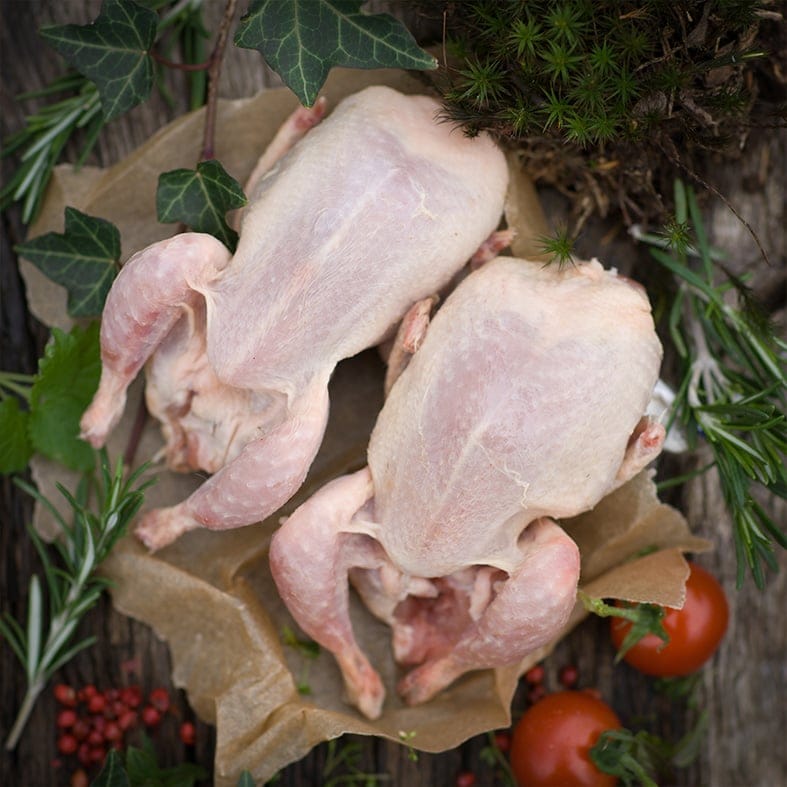 Wachteln, bratfertig ungewürzt, roh (4 x 150–170 g = ca. 600–700 g)  2