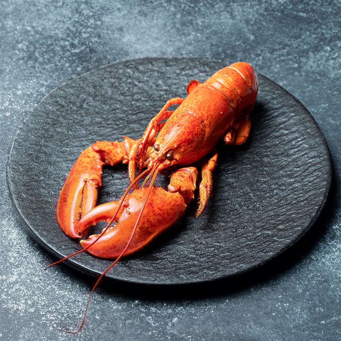 Lobster / Hummer, gekocht, 350g Wildfang 2
