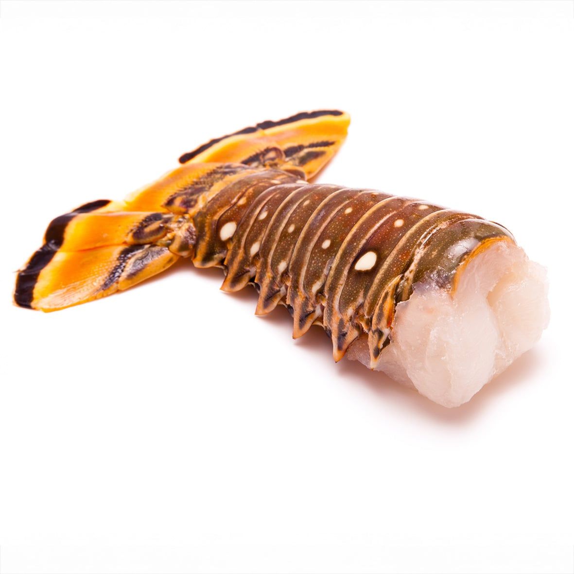 Langusten Schwanz XL roh, 800-950 g pro Stück