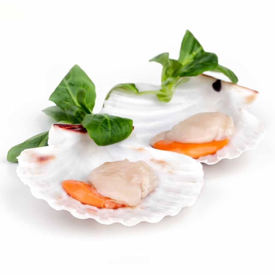 Jacobsmuschelfleisch (Scallops) mit Rogen – Wildfang, 40/60 lbs (85-124 Stk), 1kg