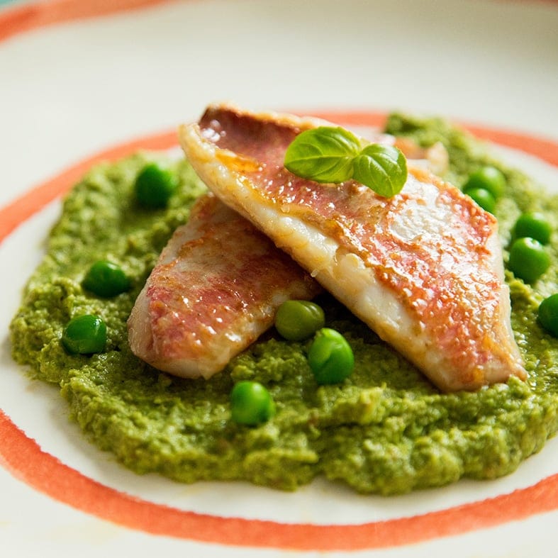 Rote Meerbarbe – Feiner Geschmack & Premium-Qualität 3