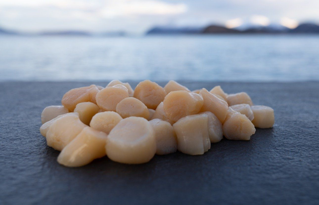 Norwegisches Kammmuschelfleisch, roh, 250 Gramm