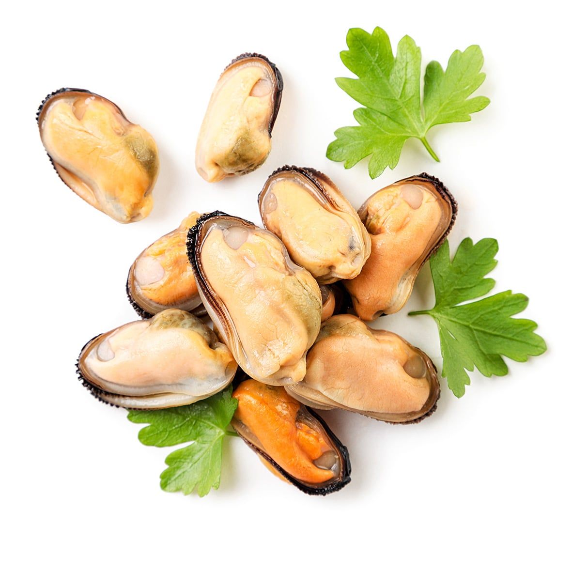 Miesmuschel Fleisch, ohne Schale, natur, 1 kg