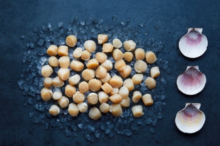 Norwegisches Kammmuschelfleisch, roh, 250 Gramm 2