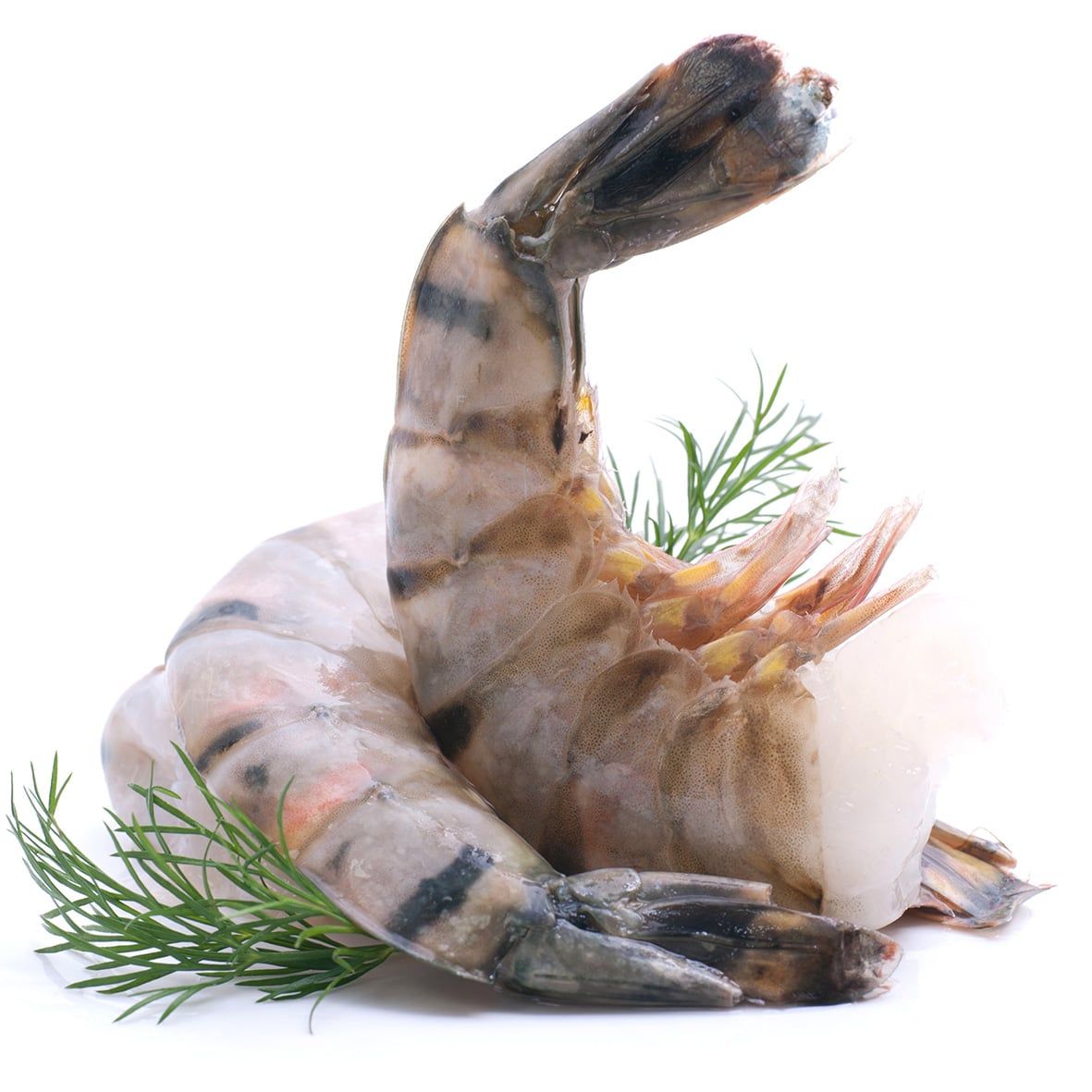 Riesengarnelen XXL, Rosenberg Prawn, ohne Kopf/mit Schale/roh