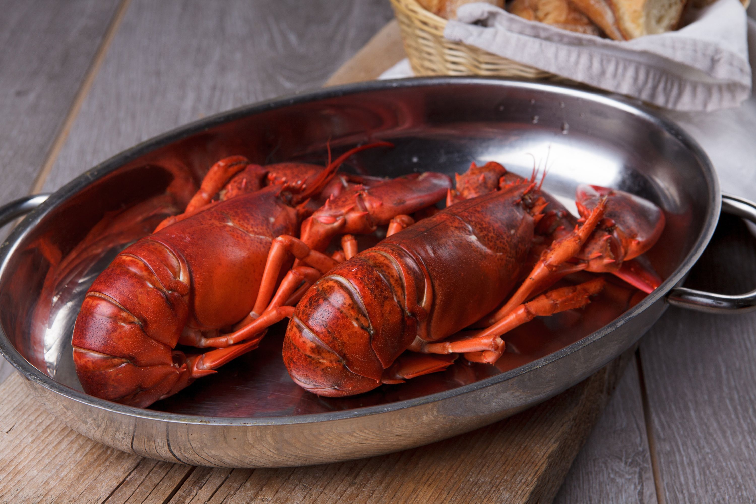 Lobster / Hummer, gekocht, 350g Wildfang 2