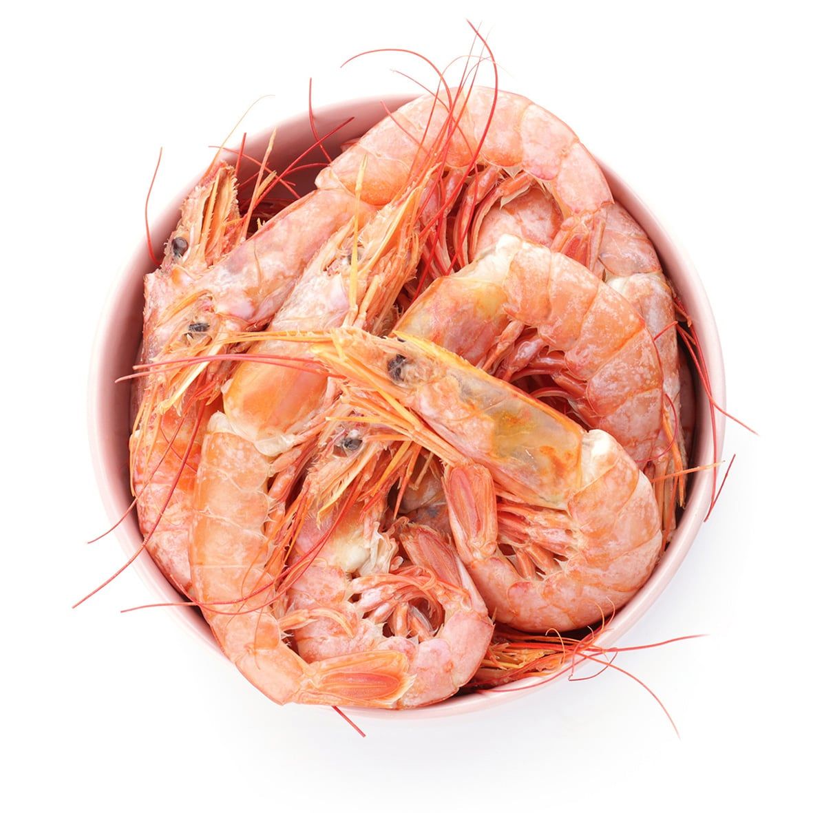 Grönlandshrimps, Eismeergarnelen, ganz/gekocht 1