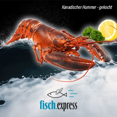 400x400_WEB-Banner-FISCH.EXPRESS_Startseiten-Kachel-Hummer