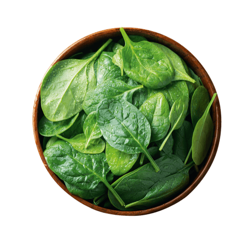 iglo Blattspinat, portionierbar  2