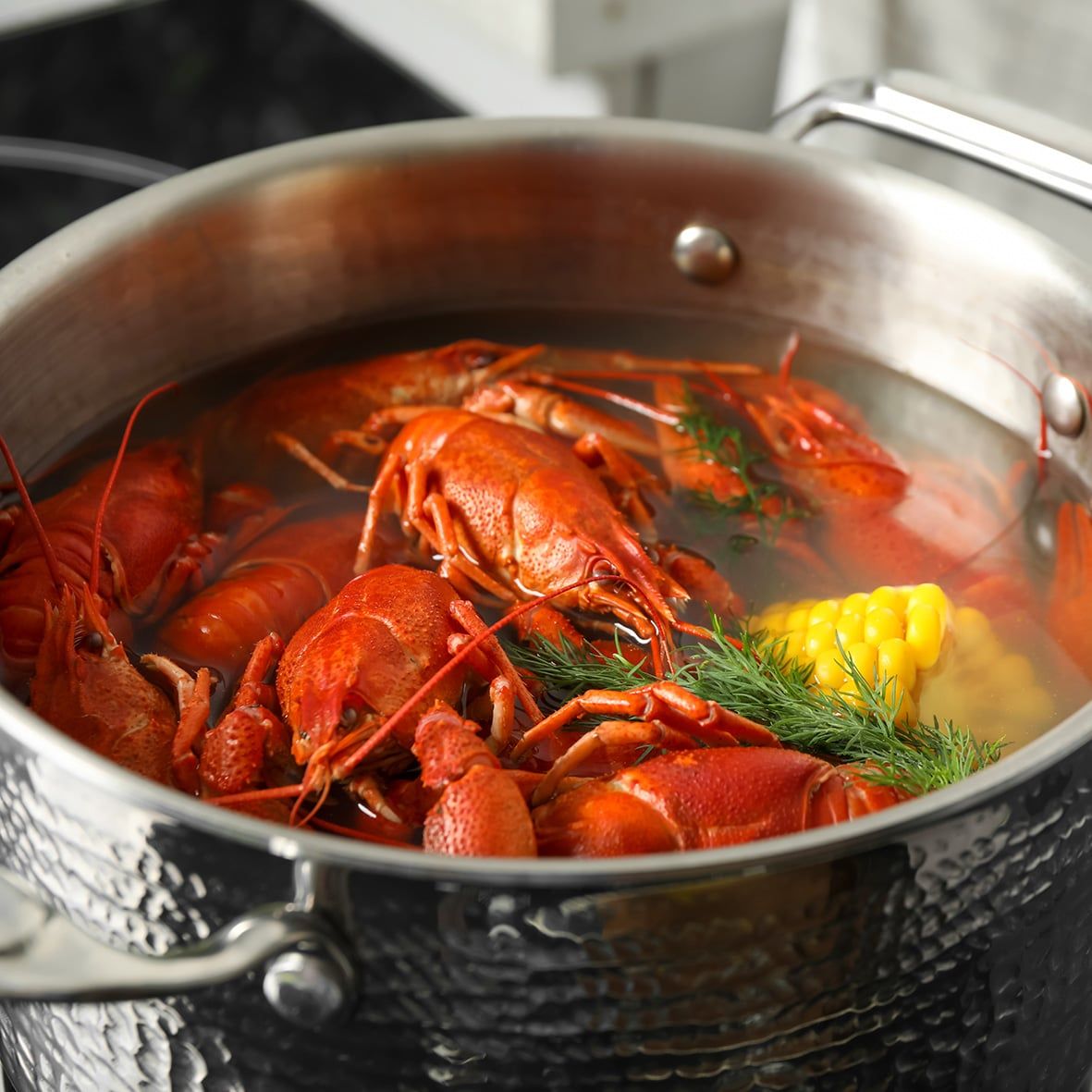 Lobster / Hummer,  roh  3