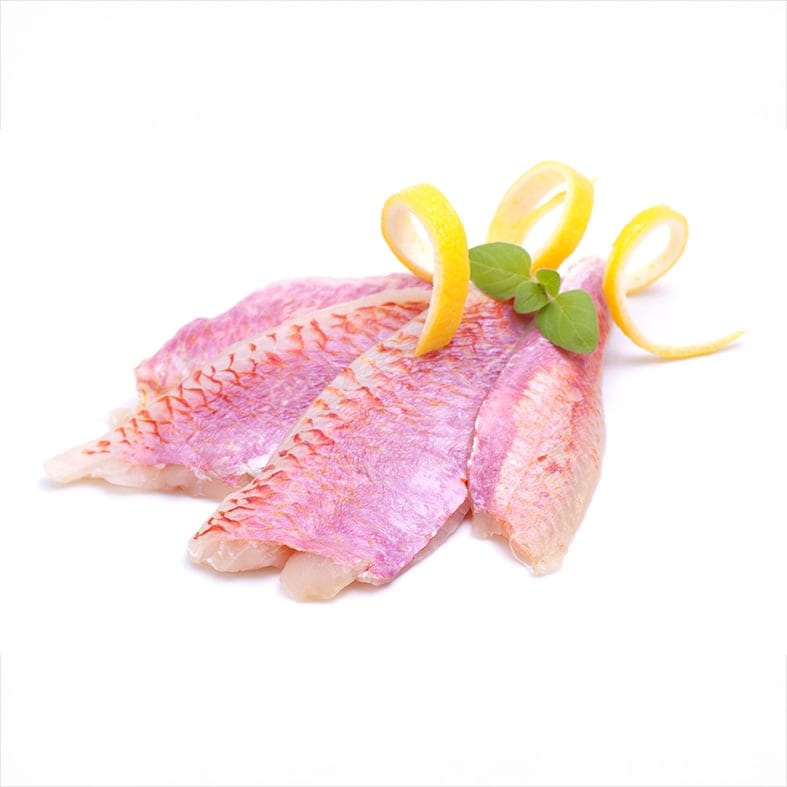 Rote Meerbarbe – Feiner Geschmack & Premium-Qualität 1