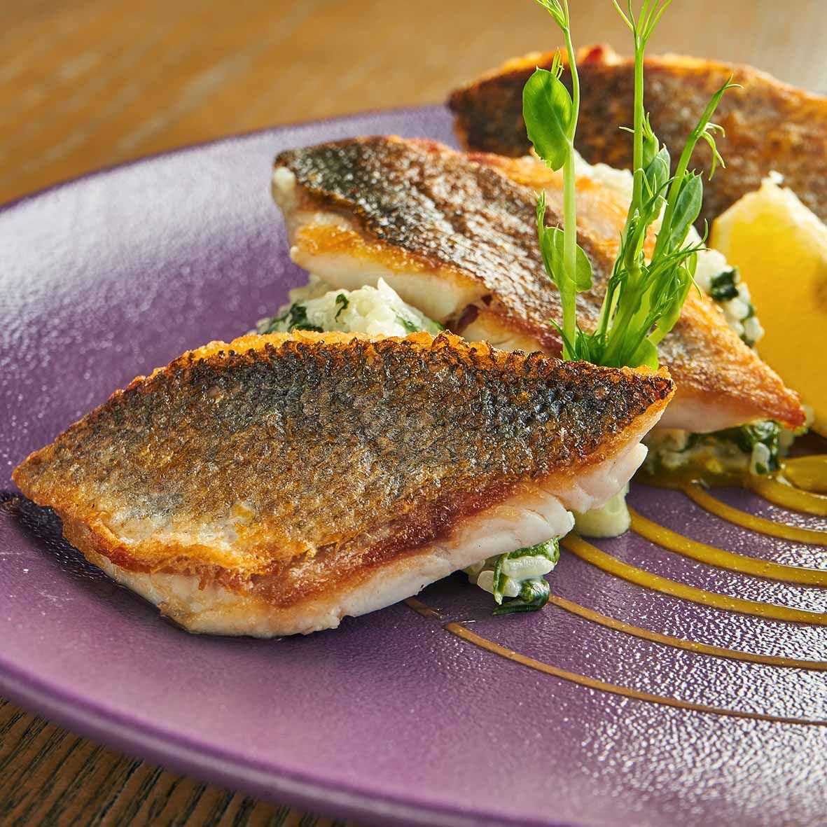 Knurrhahnfilet – Edler Roter Knurrhahn aus dem Pazifik, 800 g 3