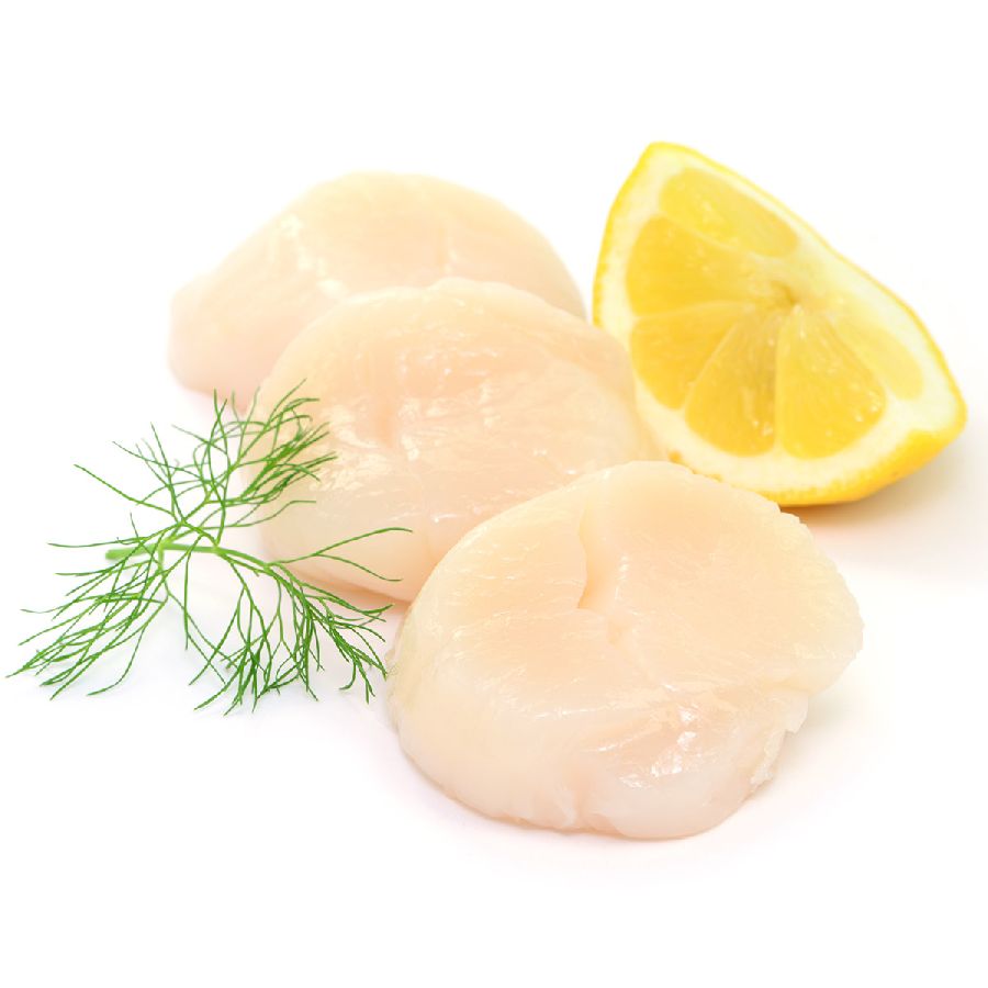 Jacobsmuschelfleisch KING (Scallops) o. Rogen L, 20/30, Nettoeinwage (40-60 St/kg) WILDFANG 1
